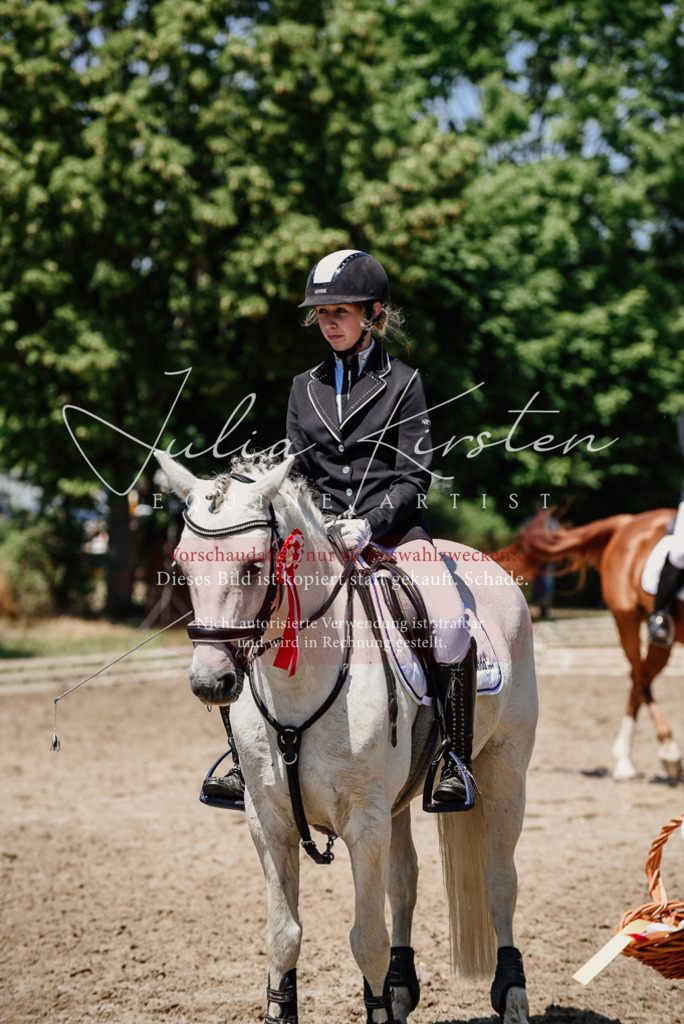 DSC_2048 | Pferde- und Turnierfotografie in Westsachsen. Pferdeportraits, Auftragszeichnungen und intuitive Kunst.