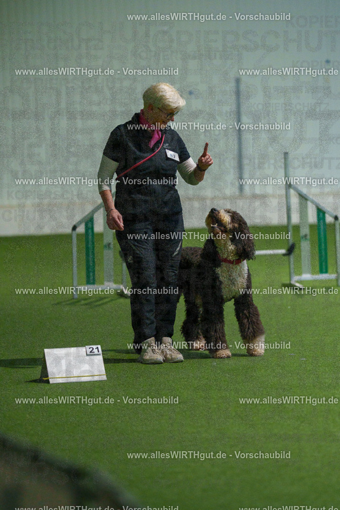 7R508097 | Professionelle Tierfotografie in Mönchengladbach von Daniel Wirth (allesWIRTHgut). Liebevolle & natürliche Bilder von Hunden & Katzen für unvergessliche Erinnerungen.