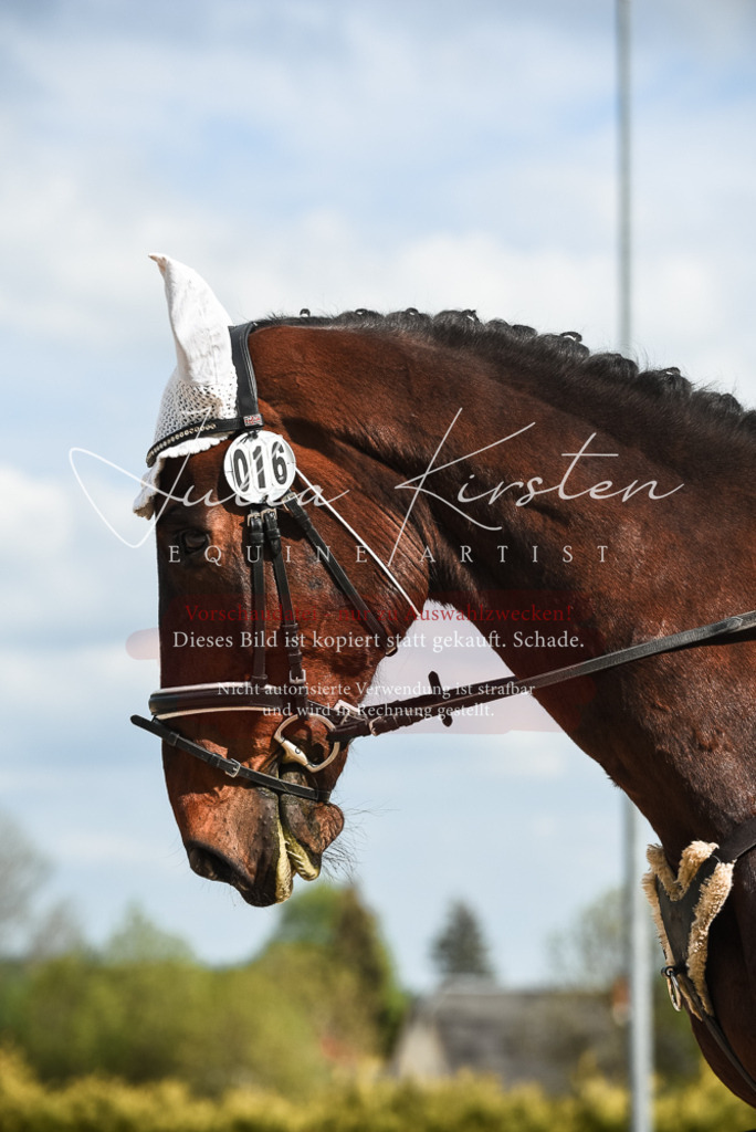 20230518_JK-Röhrsdorf-12-0424 | Pferde- und Turnierfotografie in Westsachsen. Pferdeportraits, Auftragszeichnungen und intuitive Kunst.