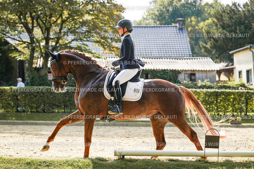 DSC07656 | Pferdegrafie