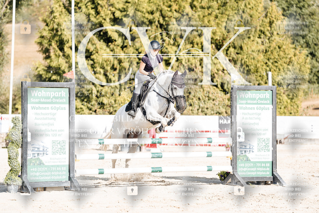 CK909310 | Turnierfotografie Pferdefotografie Trier Rheinland-Pfalz Pferdesport Reitsport Tierfotografie Sportfotografie Pferdevideo Pferdevideografie Equestrianvideography equestrianphotography  - Realisiert mit Pictrs.com