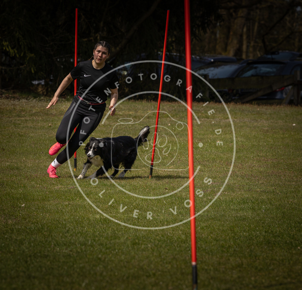 Pfotenfotografie_DV3A4943 | Hundefotografie, Tierfotograf, Pfotenfotografie, Fotoshooting Hund, Hunde Portrait, Hundesport, Hundeportraits, Heideshooting, Hunde, Sportfotograf, Hundefotograf, Turnierhundsport, THS,  - Realisiert mit Pictrs.com