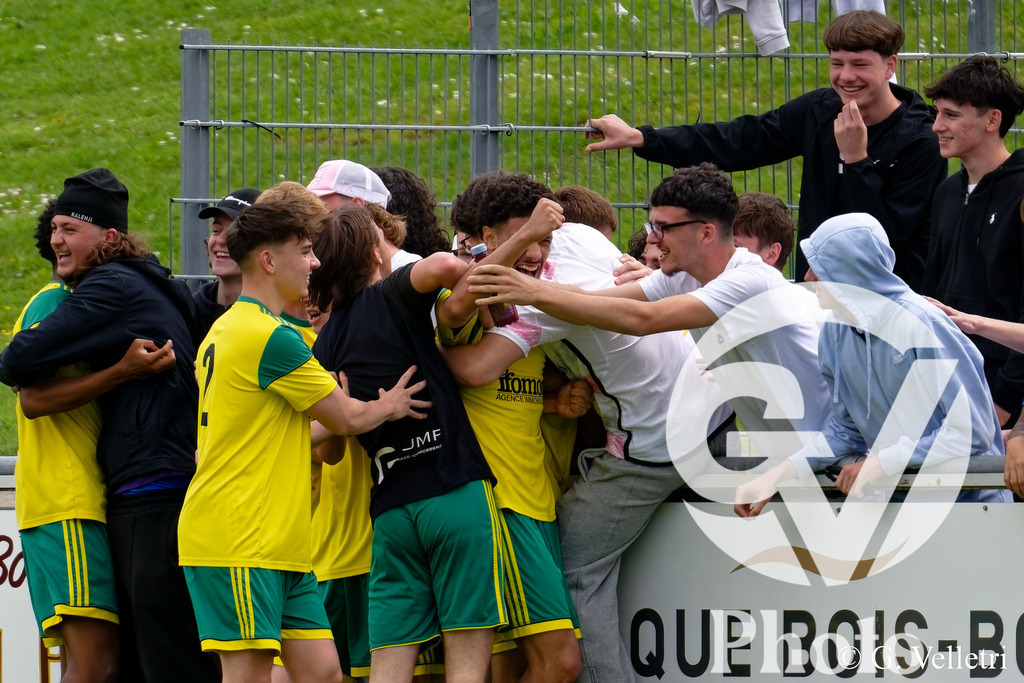 DSC_4796 | Velletri Photo