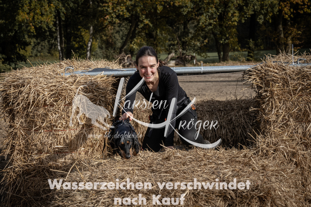 1213_ZZ93755 | kk-dogfotos