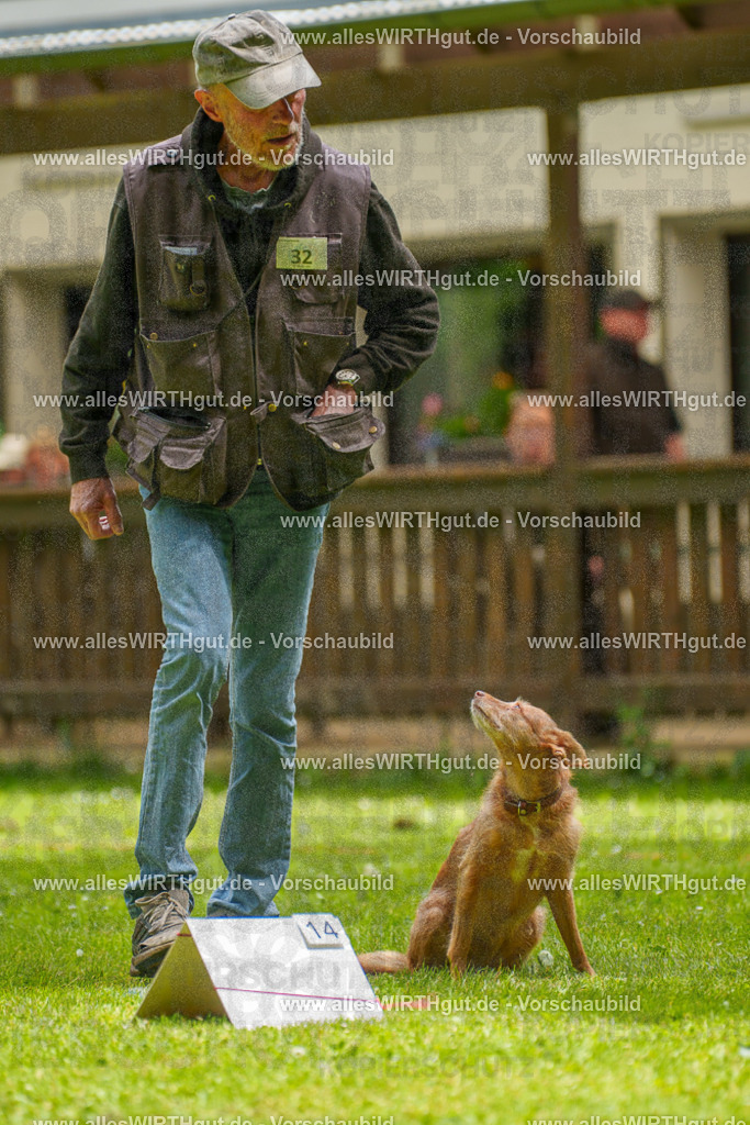 @allesWIRTHgut_Tierfotografie - www.allesWIRTHgut.de - 121727-7R508808 | Professionelle Tierfotografie in Mönchengladbach von Daniel Wirth (allesWIRTHgut). Liebevolle & natürliche Bilder von Hunden & Katzen für unvergessliche Erinnerungen.