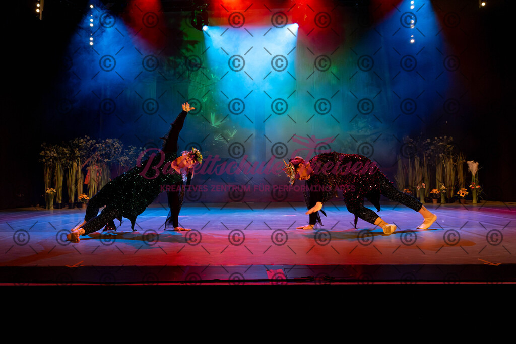 Ballettaufführung-242 | Bildershop Lem'n Entertainment - Realisiert mit Pictrs.com