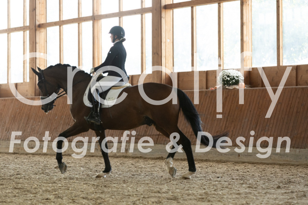 IMG_3947 | Creatify Fotografie