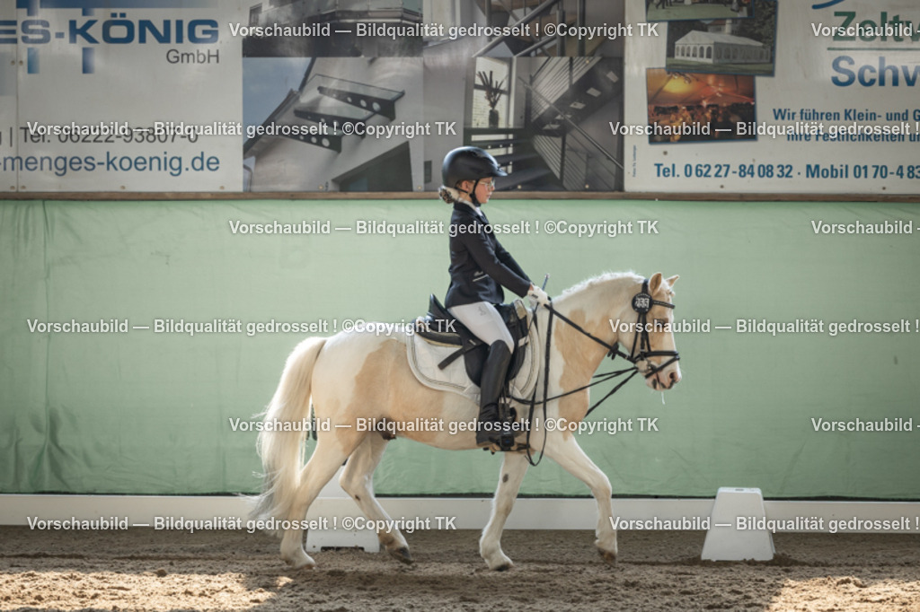 _D5A5682 | Emotionale Pferde- & People-Fotografie rund um Heidelberg, Leimen & Umgebung. Natürliche Fotos von Pferd, Mensch & Familie. Jetzt Termin sichern!