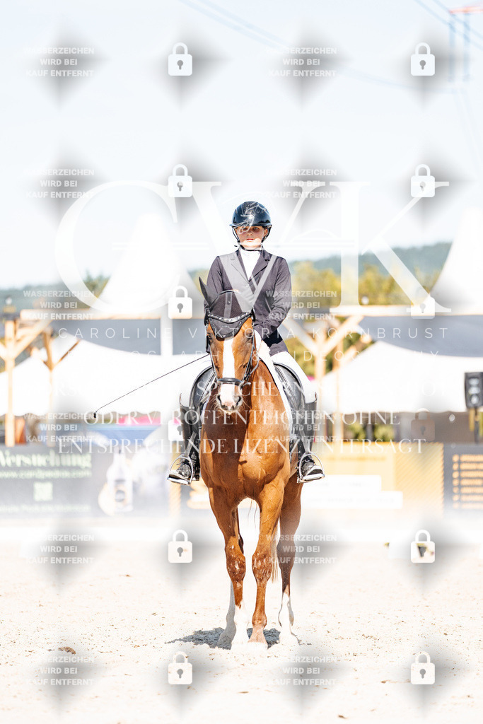 CK908789 | Turnierfotografie Pferdefotografie Trier Rheinland-Pfalz Pferdesport Reitsport Tierfotografie Sportfotografie Pferdevideo Pferdevideografie Equestrianvideography equestrianphotography  - Realisiert mit Pictrs.com