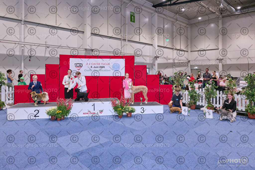 202406_ÖKV-IHA-Tulln24_NZ9_8576 | proPHOTO - Realisiert mit Pictrs.com