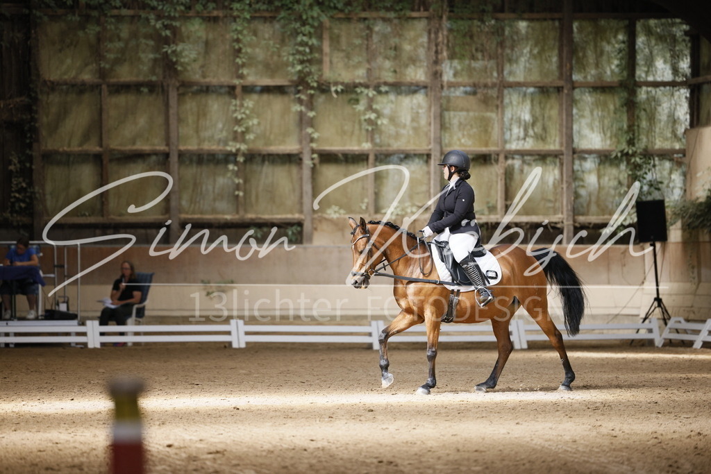 _3LI9822 | Tierfotografie Pferde, Hunde, Katzen, Haustiere.
Turnierfotografie Reitturniere, Reiten, Springreiten, Dressur in Hanau, dem Main-Kinzig-Kreis und dem Rhein-Main- Gebiet um Frankfurt