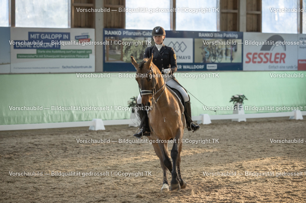 _D5A0906 | Emotionale Pferde- & People-Fotografie rund um Heidelberg, Leimen & Umgebung. Natürliche Fotos von Pferd, Mensch & Familie. Jetzt Termin sichern!