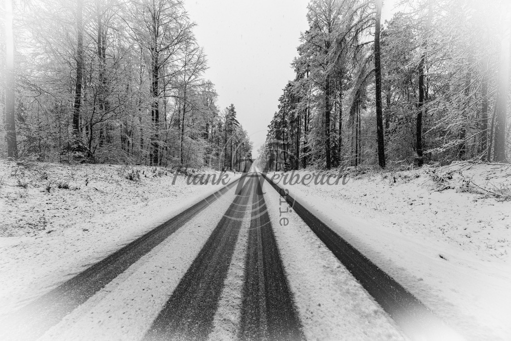 _X0A2886bea | Frank Herberich Fotografie, Frank Herberich, Fotografie, Hochzeit, Portrait, St. Peter Ording, Ording, Westerhever, Nordsee, Frank Fotografie, Hardheim,  Odenwald,Walldürn, Band,Eventfotografie - Realisiert mit Pictrs.com