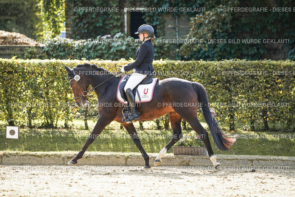 DSC07055 | Pferdegrafie