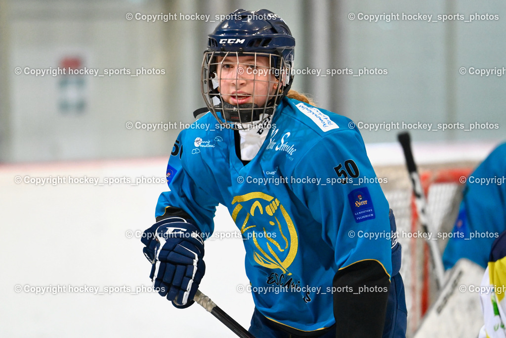 BST_6478 | hockey sports photos, Pressefotos, Sportfotos, hockey247, win 2day icehockeyleague, Handball Austria, Floorball Austria, ÖVV, Kärntner Eishockeyverband, KEHV, KFV, Kärntner Fussballverband, Österreichischer Volleyballverband, Alps Hockey League, ÖFB, 
