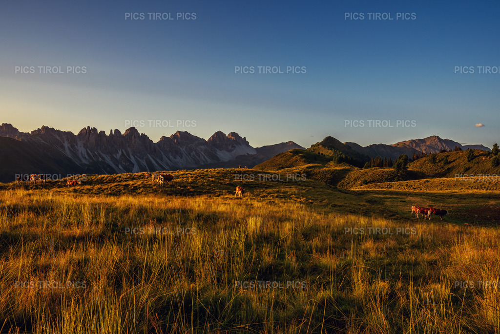 DSC_7396-Bearbeitet | Tirolpics