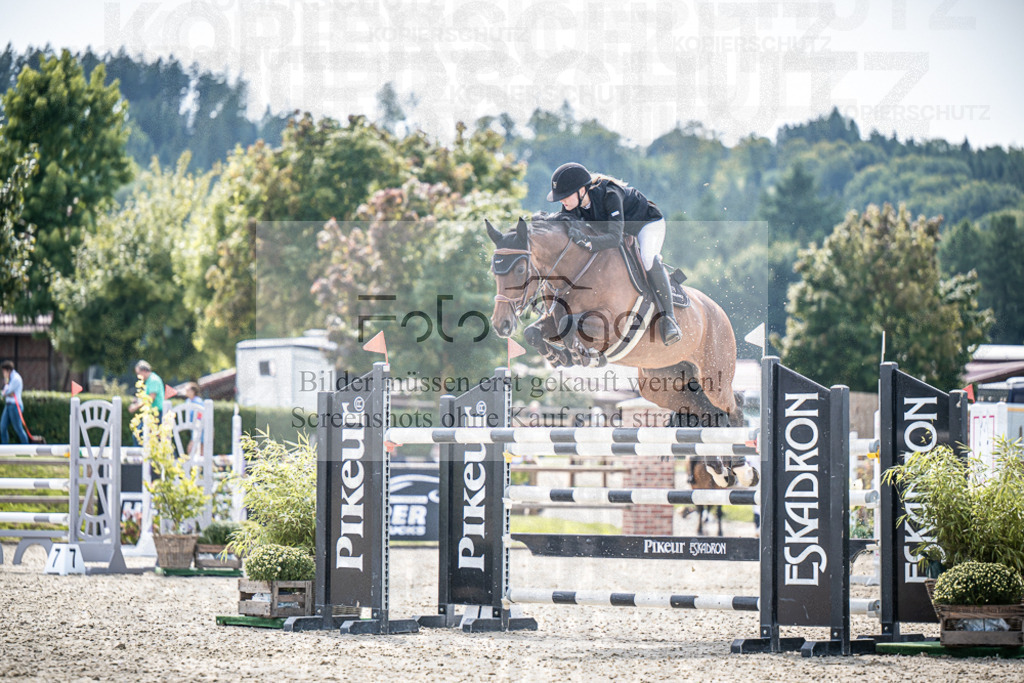 DOS_8878 | Entdecke hochwertige Reitturnierfotos von Foto Oger. Professionell, emotional und authentisch – jetzt Lieblingsmomente im Shop bestellen.Deutschlandweite Turnierfotografie. - Realisiert mit Pictrs.com