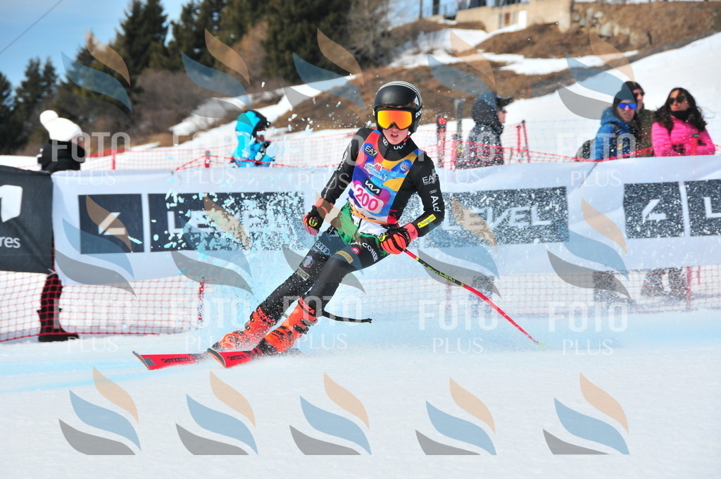 DSC_5564 | holidayphoto