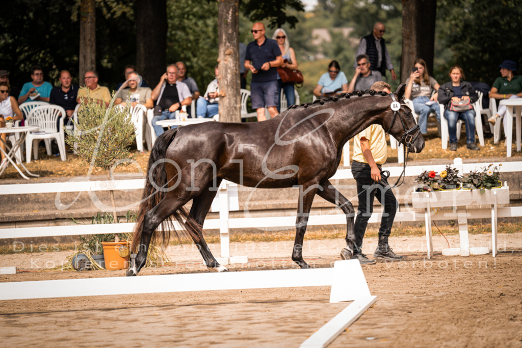 5.Fr00108 | Leoni Ertmer Photography - Realisiert mit Pictrs.com