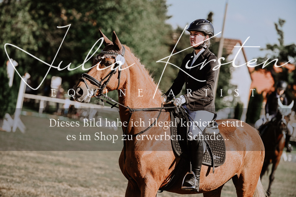DSC_9521 | Pferde- und Turnierfotografie in Westsachsen. Pferdeportraits, Auftragszeichnungen und intuitive Kunst.