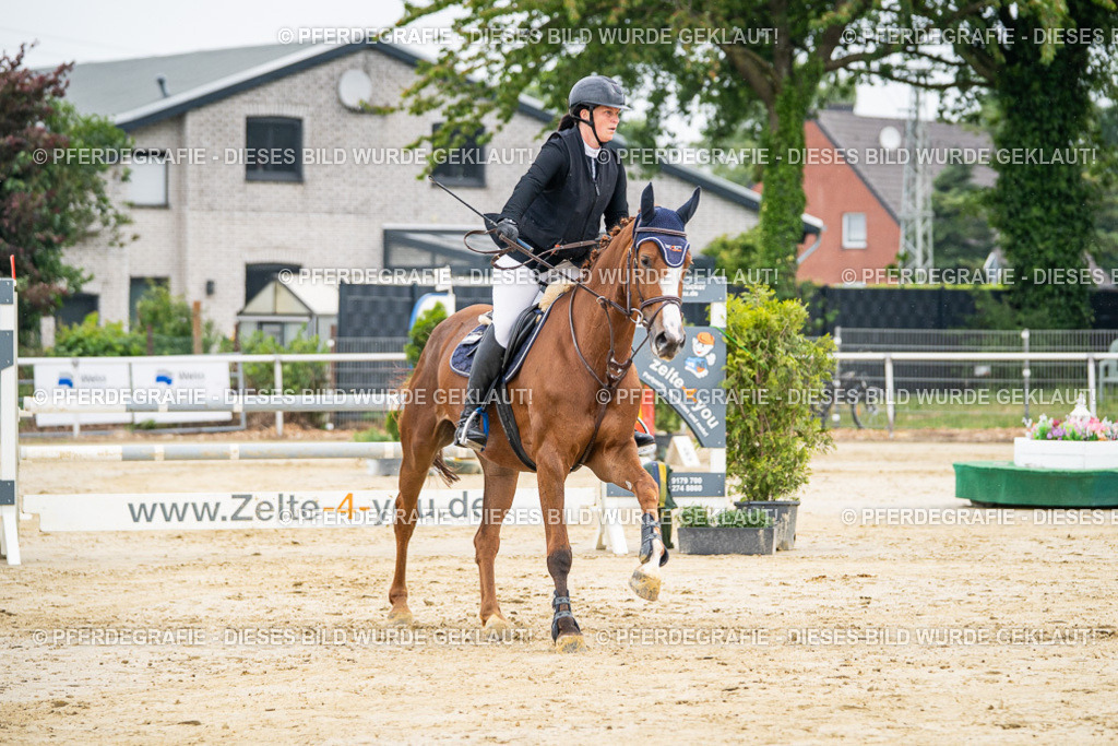 DSC09566 | Pferdegrafie