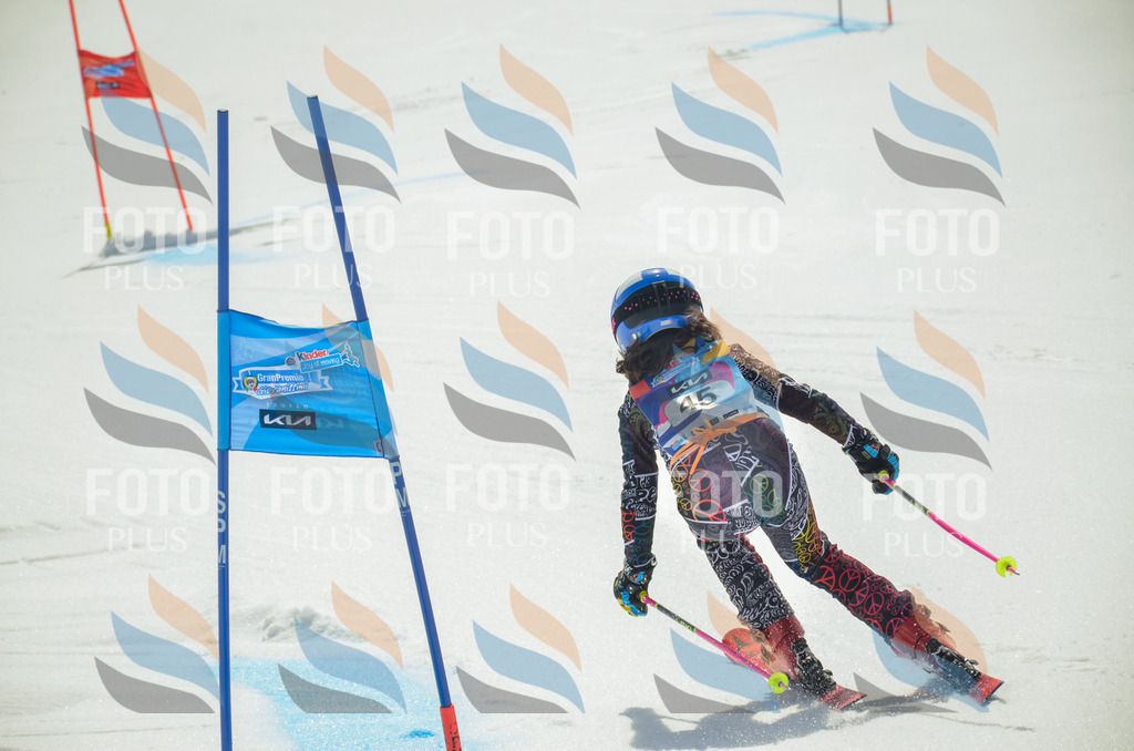 _ELE5119 | holidayphoto