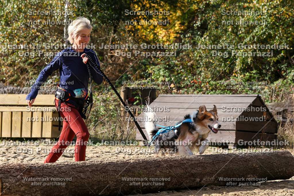 Dog Paparazzi - Strongdog 10-25-5569 | Dog Paparazzi Jeanette Grottendiek Fotografie & Videografie - Realisiert mit Pictrs.com