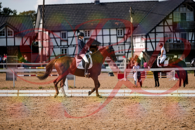 2026_10_03_Siefer-Hof_132901_Z63_90881154 | Professionelle Reitsport-, Turnier- und Eventfotografie von Robert Broda. Galerien mit ausgewählten und bearbeiteten Bildern direkt online ansehen und bestellen.