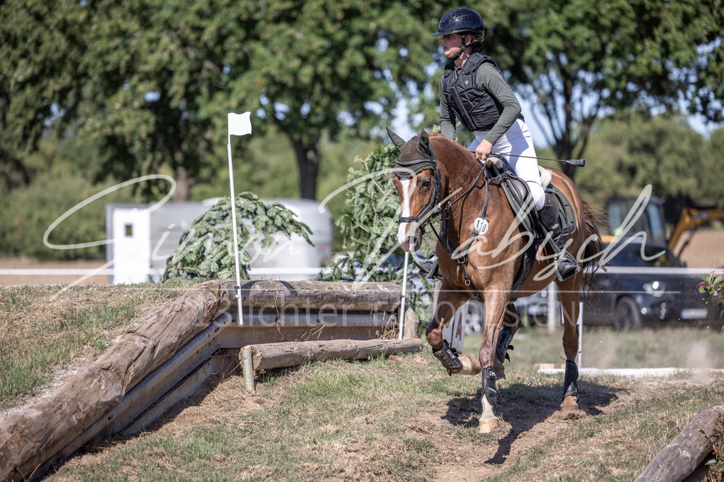 20260906-_3LI3570 | Tierfotografie Pferde, Hunde, Katzen, Haustiere.
Turnierfotografie Reitturniere, Reiten, Springreiten, Dressur in Hanau, dem Main-Kinzig-Kreis und dem Rhein-Main- Gebiet um Frankfurt