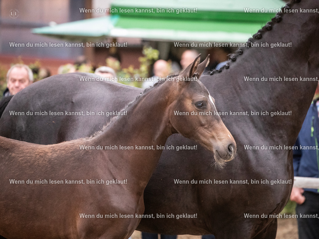 A10I7348 | photographylinaismer - Realisiert mit Pictrs.com