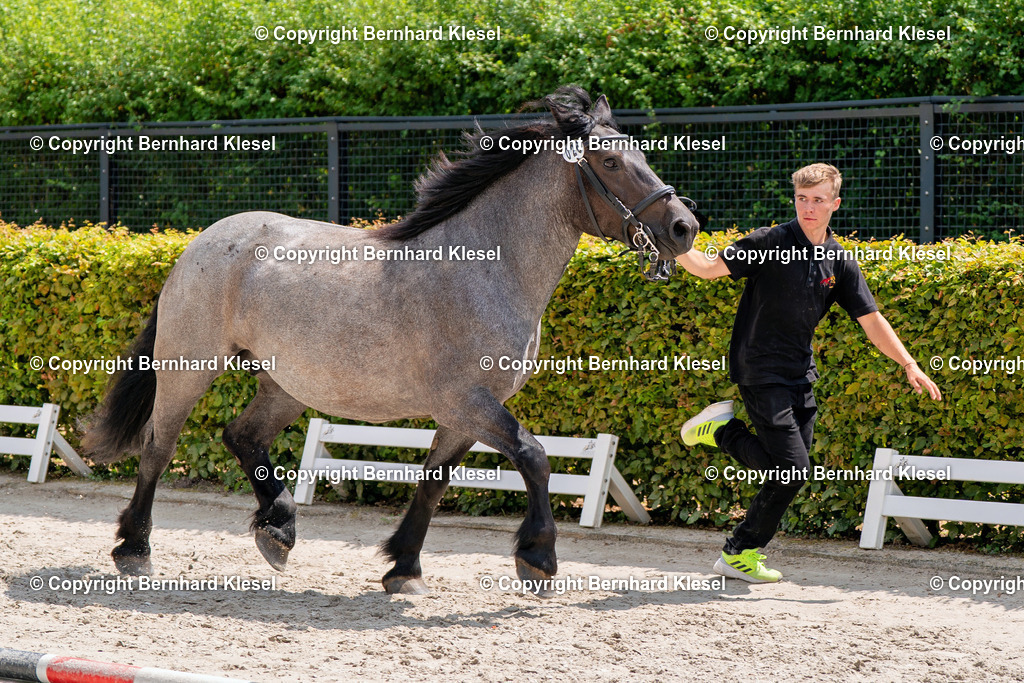 2A901053 | foto-team-bernhard - Realisiert mit Pictrs.com