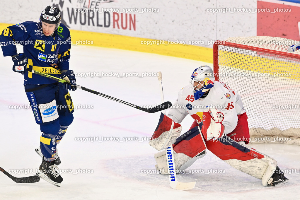 RED BULL HOCKEY JUNIORS vs. EK DIE ZELLER EISBÄREN | #87 Piuk Tobias EK DIE ZELLER EISBÄREN, #45 Ankirchner Valentin RED BULL HOCKEY JUNIORS, RED BULL HOCKEY JUNIORS vs. EK DIE ZELLER EISBÄREN, RED BULL HOCKEY JUNIORS vs. EK DIE ZELLER EISBÄREN am 14.01.2025 in Salzburg (Eisarena Salzburg), Austria, (Photo by Bernd Stefan)
