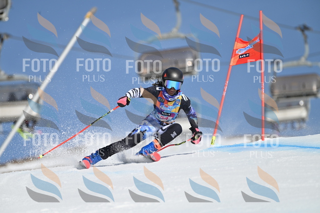 BGV_8600 | holidayphoto