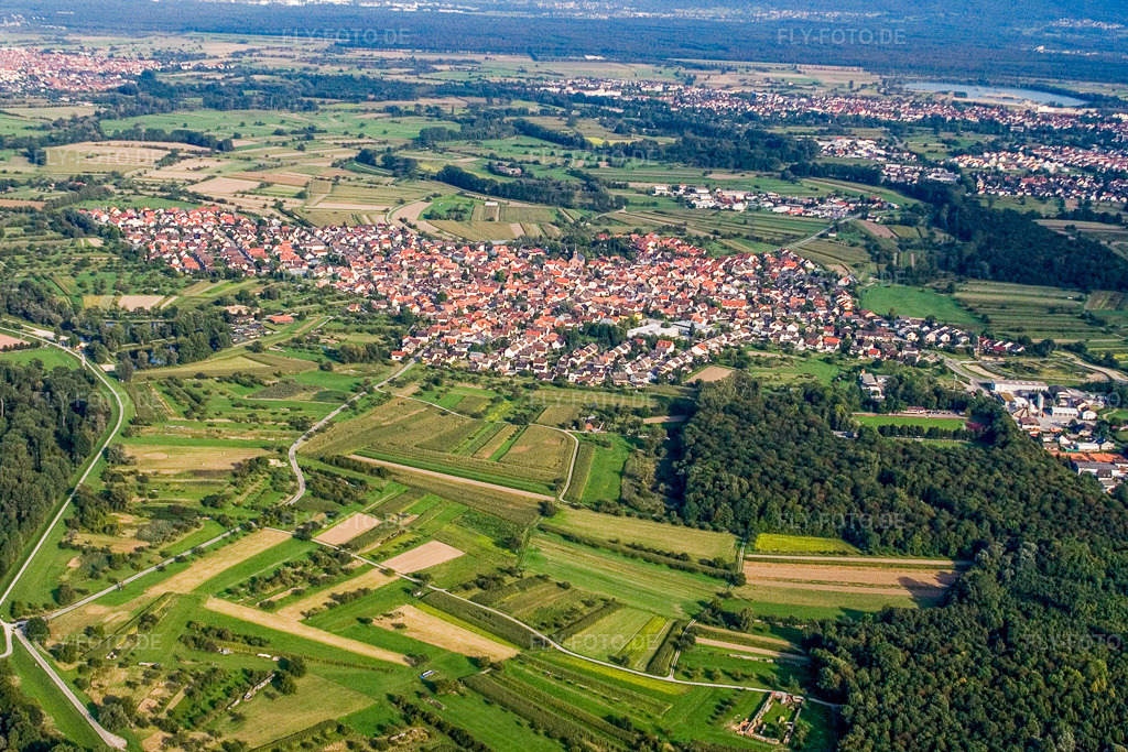 Luftbild: Ortsansicht von Westen in Au am Rhein im Bundesland Baden-Württemberg in Deutschland. – Foto: IMG_3842.jpg vom 10.09.2006 durch Werner Riehm/FLY-FOTO.de – Auflösung des Originals: 3090 x 2060 px