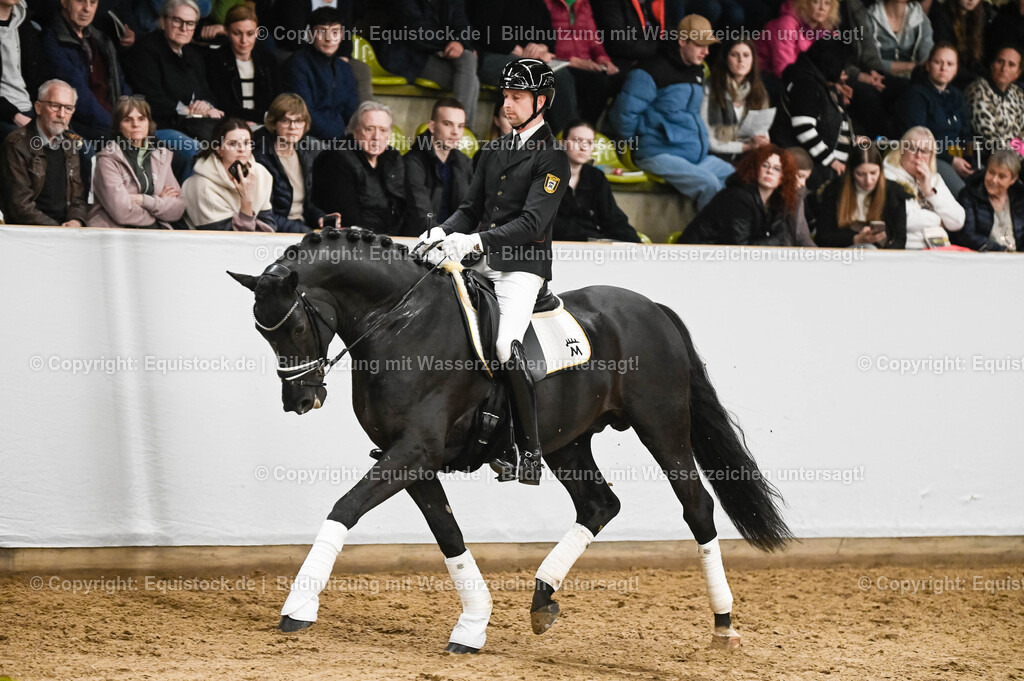 20260307_Hengstvorstellung-Marbach_0254 | equistock