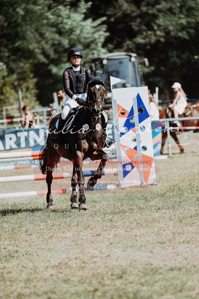 DSC_9496 | Pferde- und Turnierfotografie in Westsachsen. Pferdeportraits, Auftragszeichnungen und intuitive Kunst.