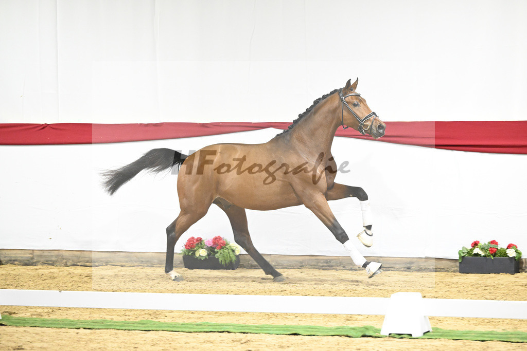 Kat-Nr. 15 v. Fuerst Samarant_Dalsem_63220695 | hf-fotografie - Realizzato con Pictrs.com