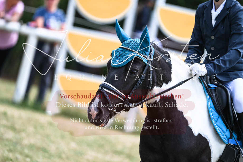 DSC_9749 | Pferde- und Turnierfotografie in Westsachsen. Pferdeportraits, Auftragszeichnungen und intuitive Kunst.