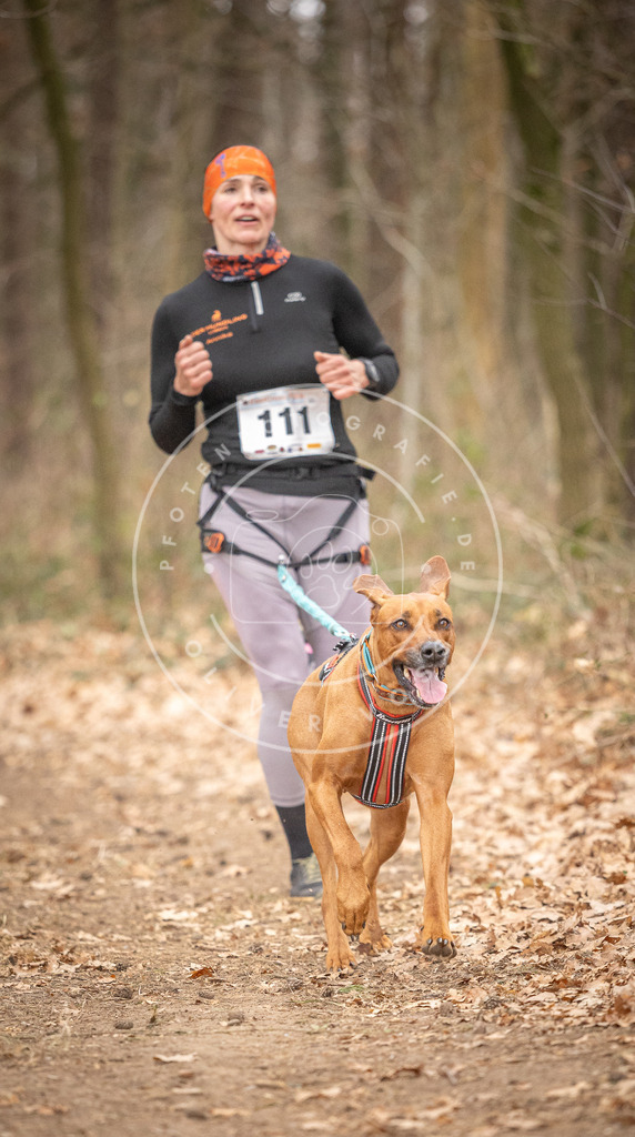 Pfotenfotografie_DV3A7695 | Hundefotografie, Tierfotograf, Pfotenfotografie, Fotoshooting Hund, Hunde Portrait, Hundesport, Hundeportraits, Heideshooting, Hunde, Sportfotograf, Hundefotograf, Turnierhundsport, THS,  - Realisiert mit Pictrs.com