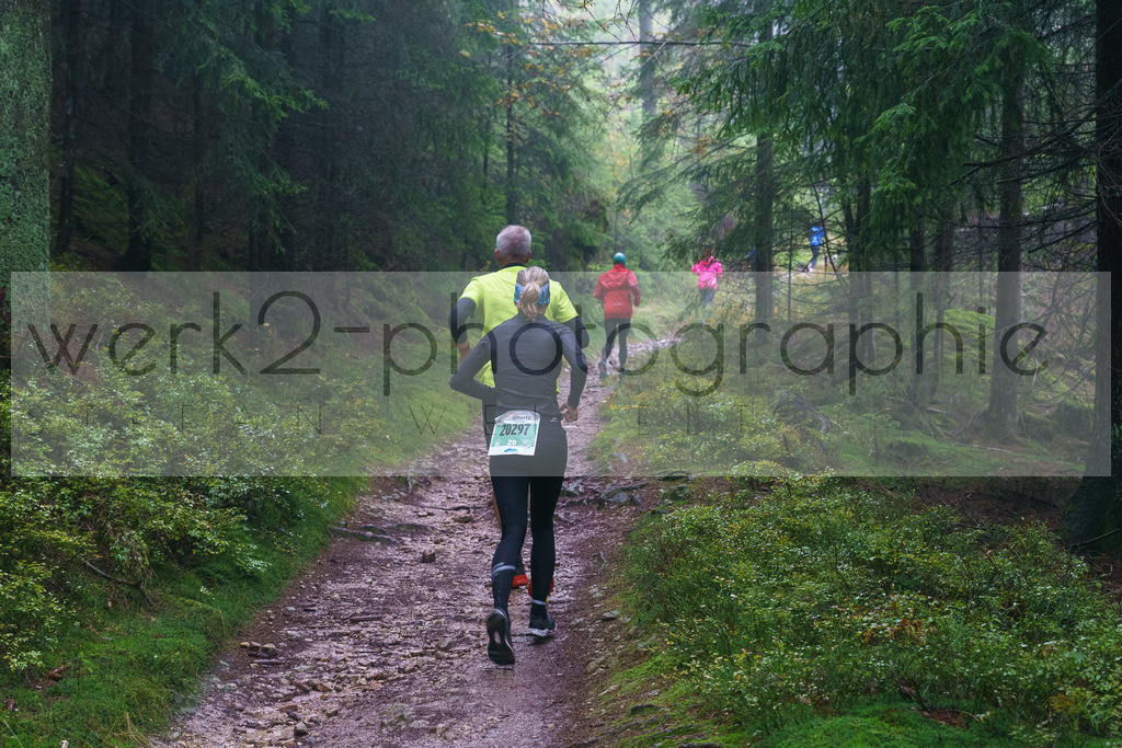 Herbstlauf | Herbstlauf am 1. &amp; 2. Oktober 2022 unter Corona-Bedingungen - Start Masserberg und Neuhaus