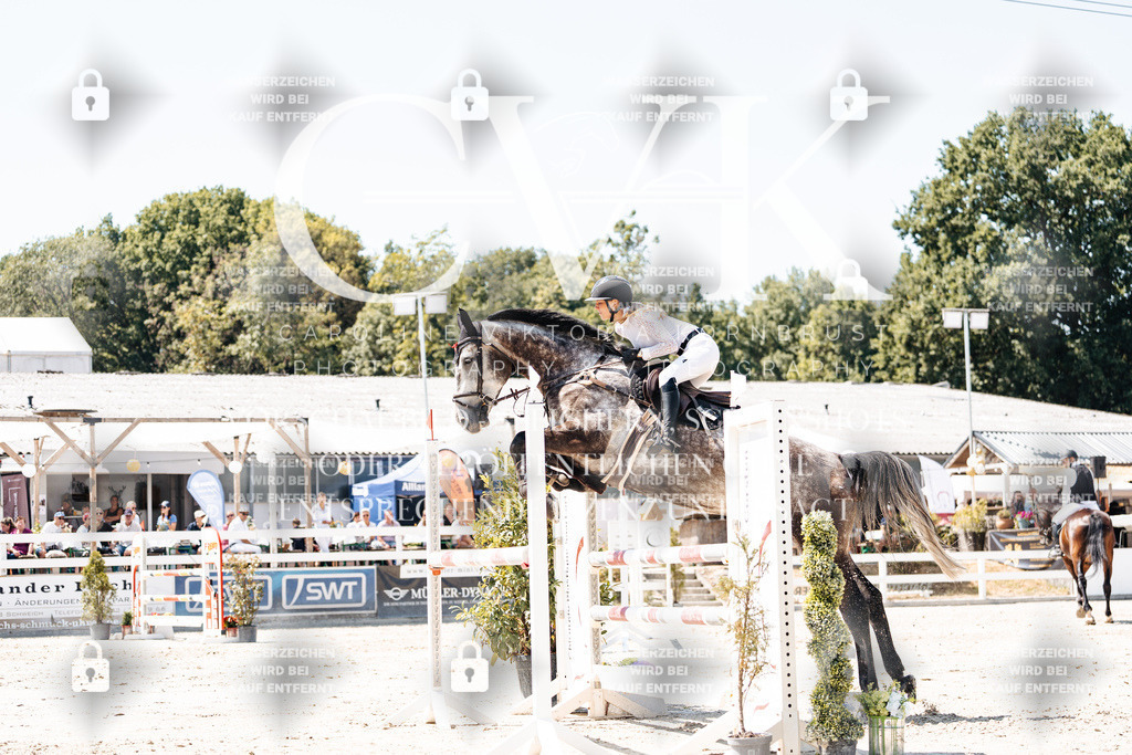 CK900017 | Turnierfotografie Pferdefotografie Trier Rheinland-Pfalz Pferdesport Reitsport Tierfotografie Sportfotografie Pferdevideo Pferdevideografie Equestrianvideography equestrianphotography  - Realisiert mit Pictrs.com