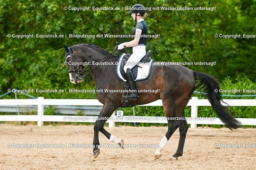 20230716_01_Dressurprüfung Kl.M_0493 | equistock