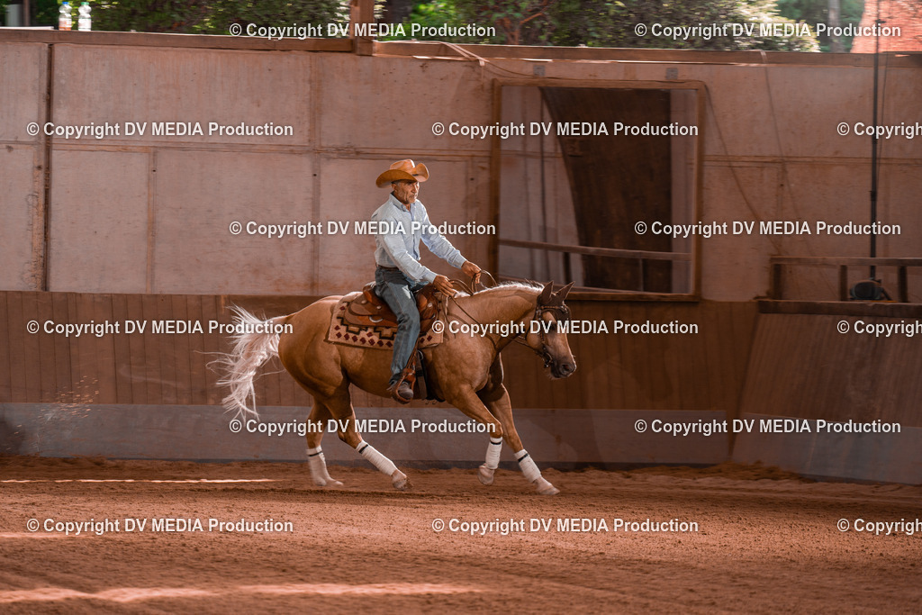 NE201178 | dv-media-shop - Realisiert mit Pictrs.com