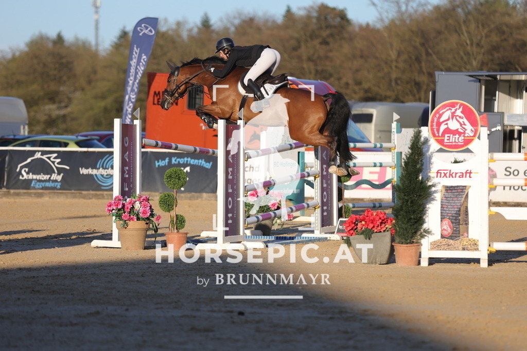 0P6A2661 | Willkommen bei Brunnmayr - Design & Fotografie – Ihrem Spezialisten für Reitturniere und Pferdeveranstaltungen in Oberösterreich, Salzburg und Bayern! Seit über 17 Jahren sind wir leidenschaftlich dabei.