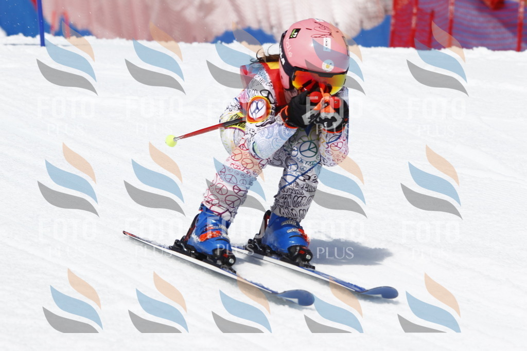 _U3G8241 | holidayphoto