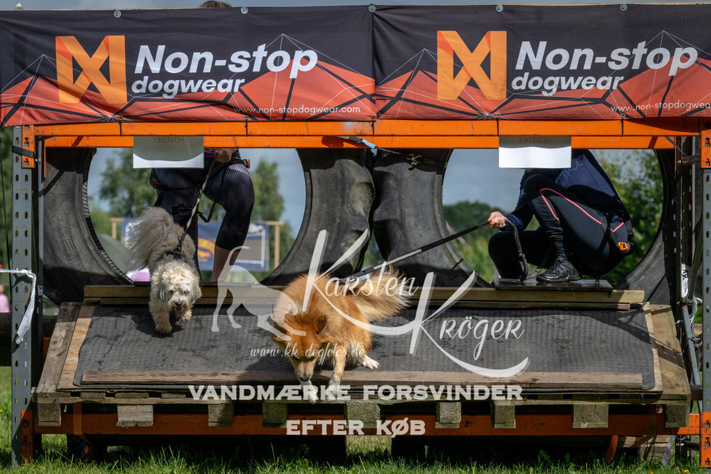 1134_ZZ92581 | kk-dogfotos