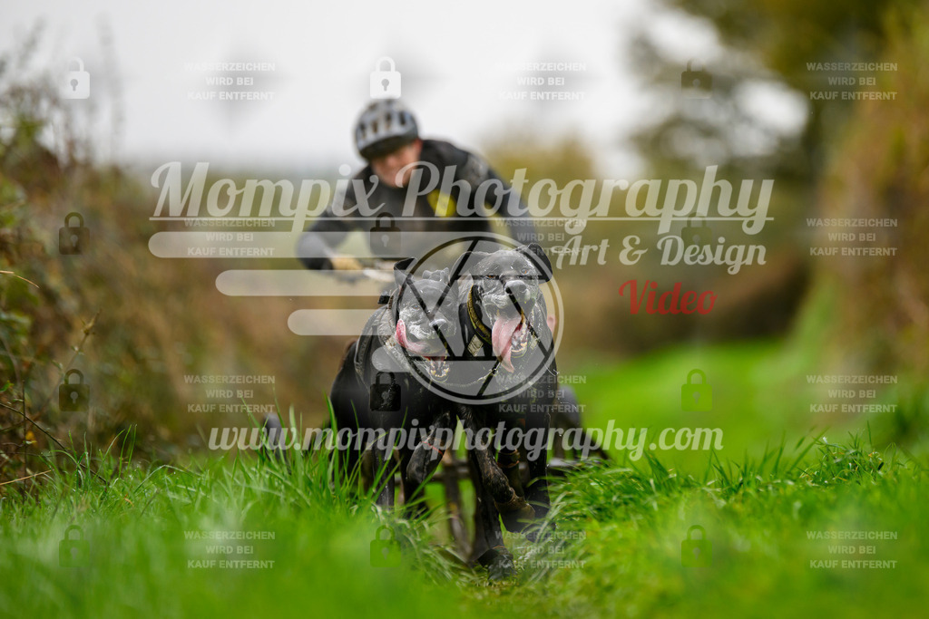 MompixPhotography_20TSB_E8_Kart-16 | PayLife