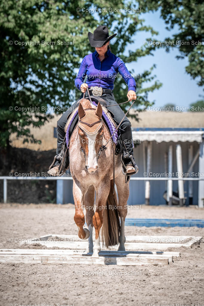 LOE03724 | BS-foto