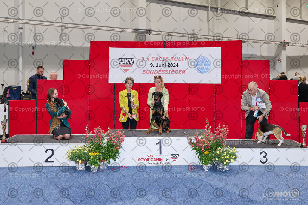 202406_ÖKV-IHA-Tulln24_NZ9_9447 | proPHOTO - Realisiert mit Pictrs.com