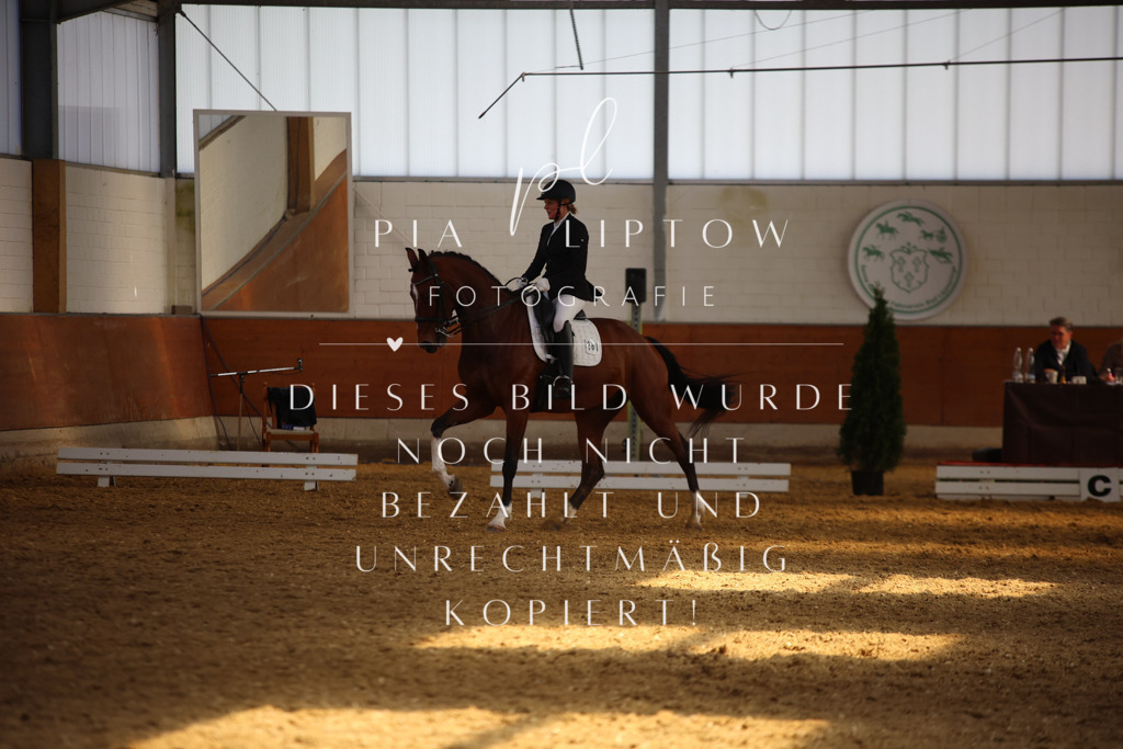 IMGT8468 | pl-fotografie